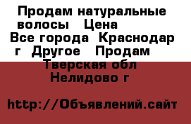 Продам натуральные волосы › Цена ­ 3 000 - Все города, Краснодар г. Другое » Продам   . Тверская обл.,Нелидово г.